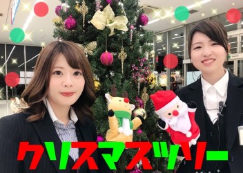 **クリスマスツリー**